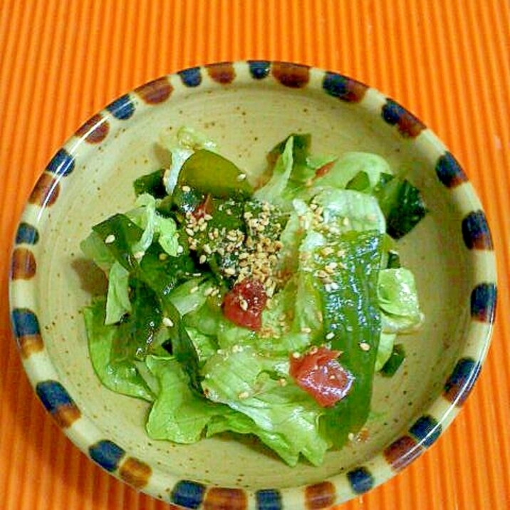 レタス わかめ サラダ わかめ サラダ レタス